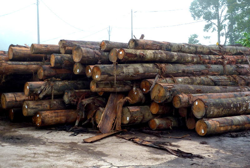 SNL Woods - Sawn Timber & Logs